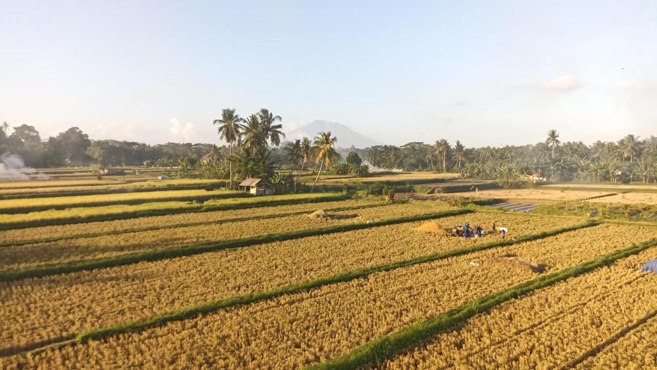 Gending Sari House Lejlighed Ubud Eksteriør billede